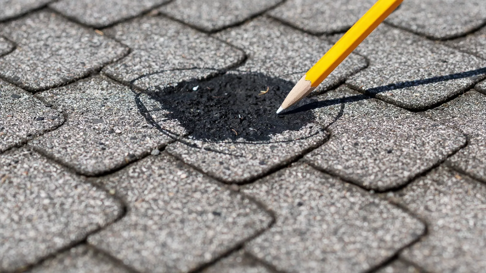 Close-up of an asphalt shingle with a round hail bruise and scattered granule loss, chalk circle drawn around the impact mark during an inspection